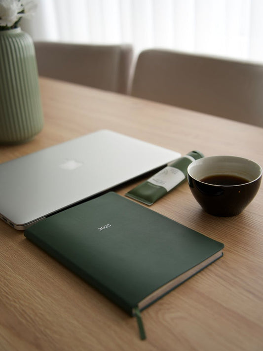 Guia completa de como elegir plantillas para principiantes