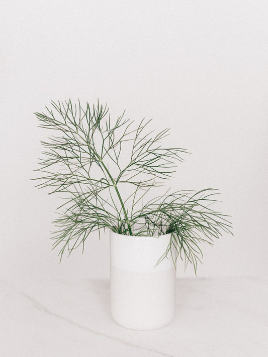 De idea en papel a agenda vendible: estrategia para principiantes