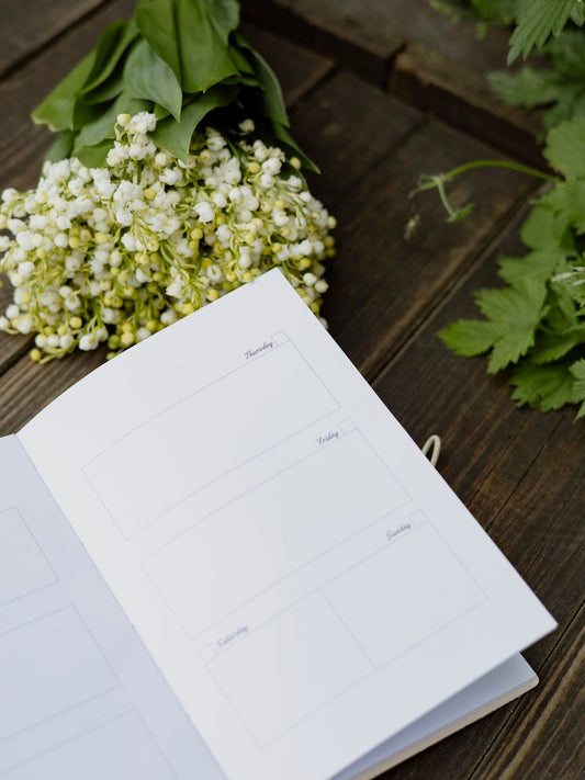 Guia completa de formatos diaria/semanal/mensual para papelerias