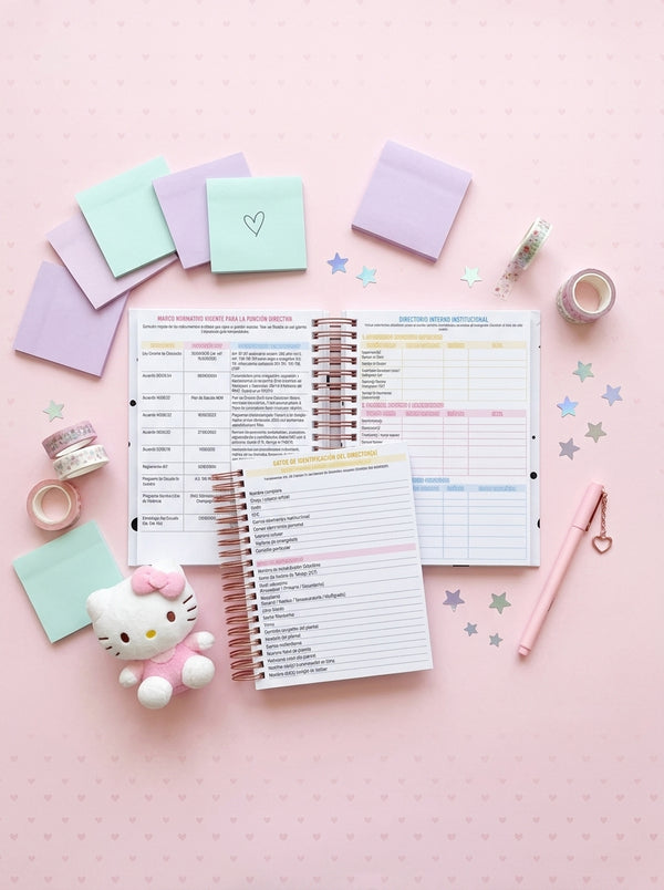 Agenda Director Diaria - Pochacco