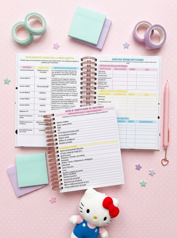 Agenda Director Diaria - Rainbow Brite