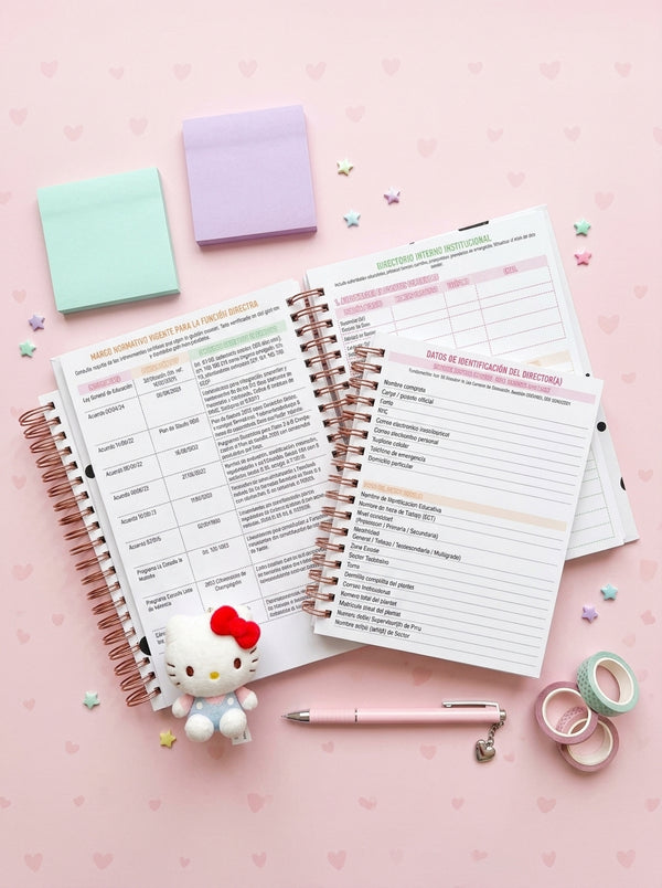 Agenda Director Diaria - Padrinos Mágicos