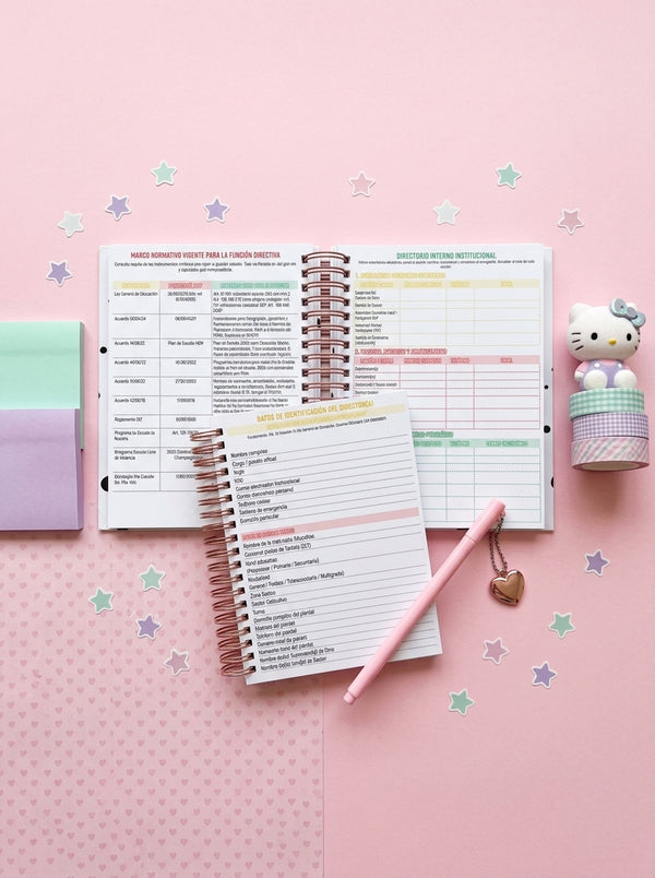 Agenda Director Diaria - Zelda