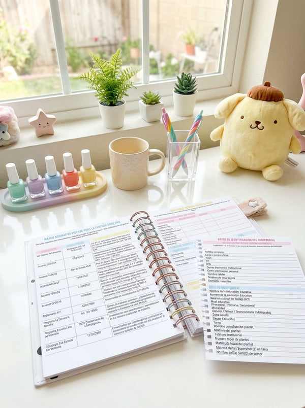 Agenda Director Diaria - My Melody