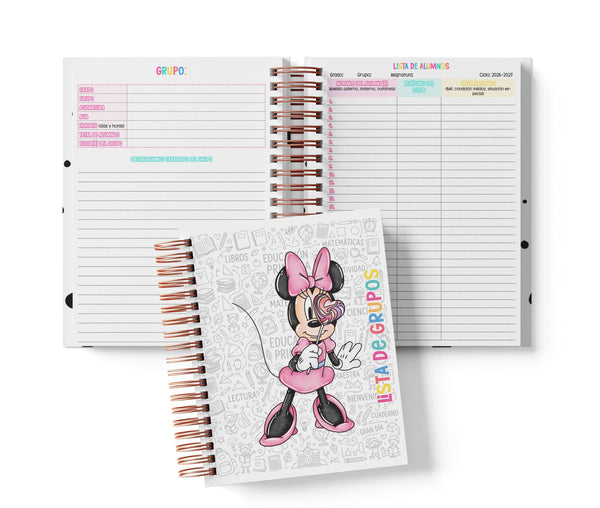 Seguimiento Docente Secundaria - Minnie Mouse
