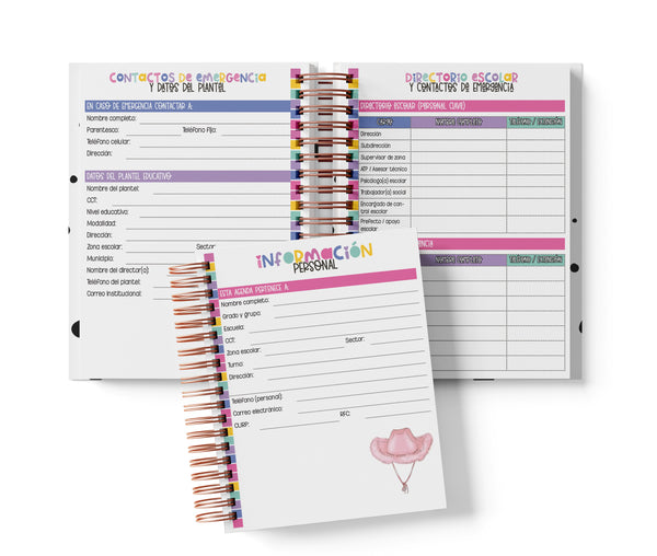 Agenda Primaria Medio Oficio - Taylor Swift
