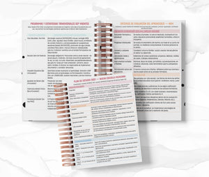 Agenda Director Diaria - Doraemon