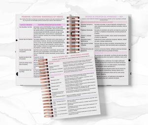 Agenda Director Diaria - Candy Candy