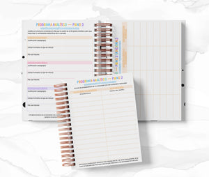 Agenda Secundaria - Cenicienta