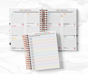 Agenda Secundaria - Cenicienta