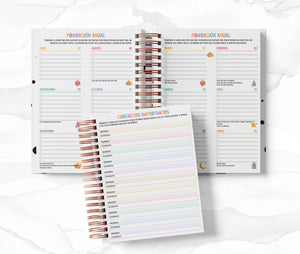 Agenda Secundaria - Aladdin