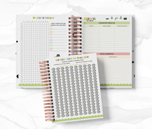 Planner Diario con Horario cada 30 Min - Hulk