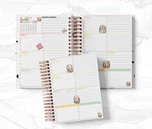 Agenda Secundaria - Ternurines