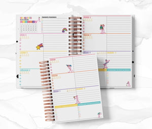 Agenda Secundaria - Pantera Rosa