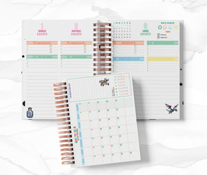 Agenda Director Diaria - Minecraft