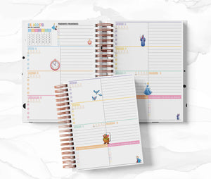 Agenda Secundaria - Cenicienta