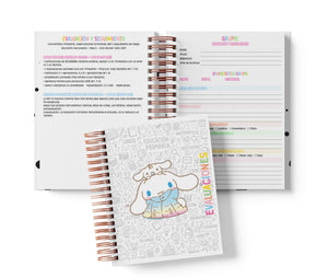 Seguimiento Docente Secundaria - Cinnamoroll