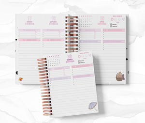 Agenda Director Diaria - Candy Candy