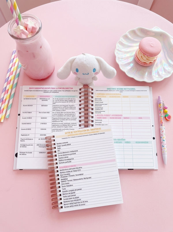 Agenda Director Semanal - Aladdin