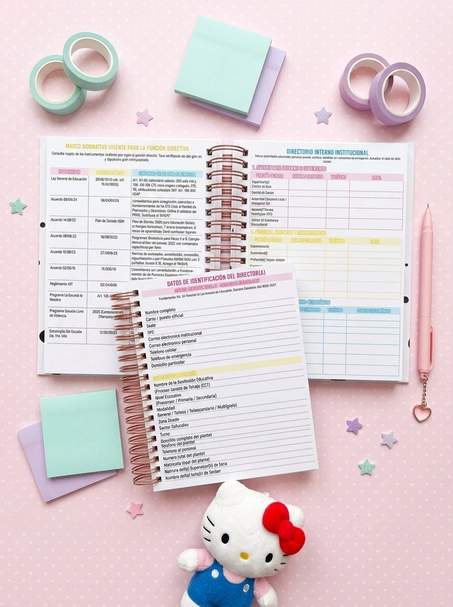 Agenda Director Diaria - Rainbow Brite