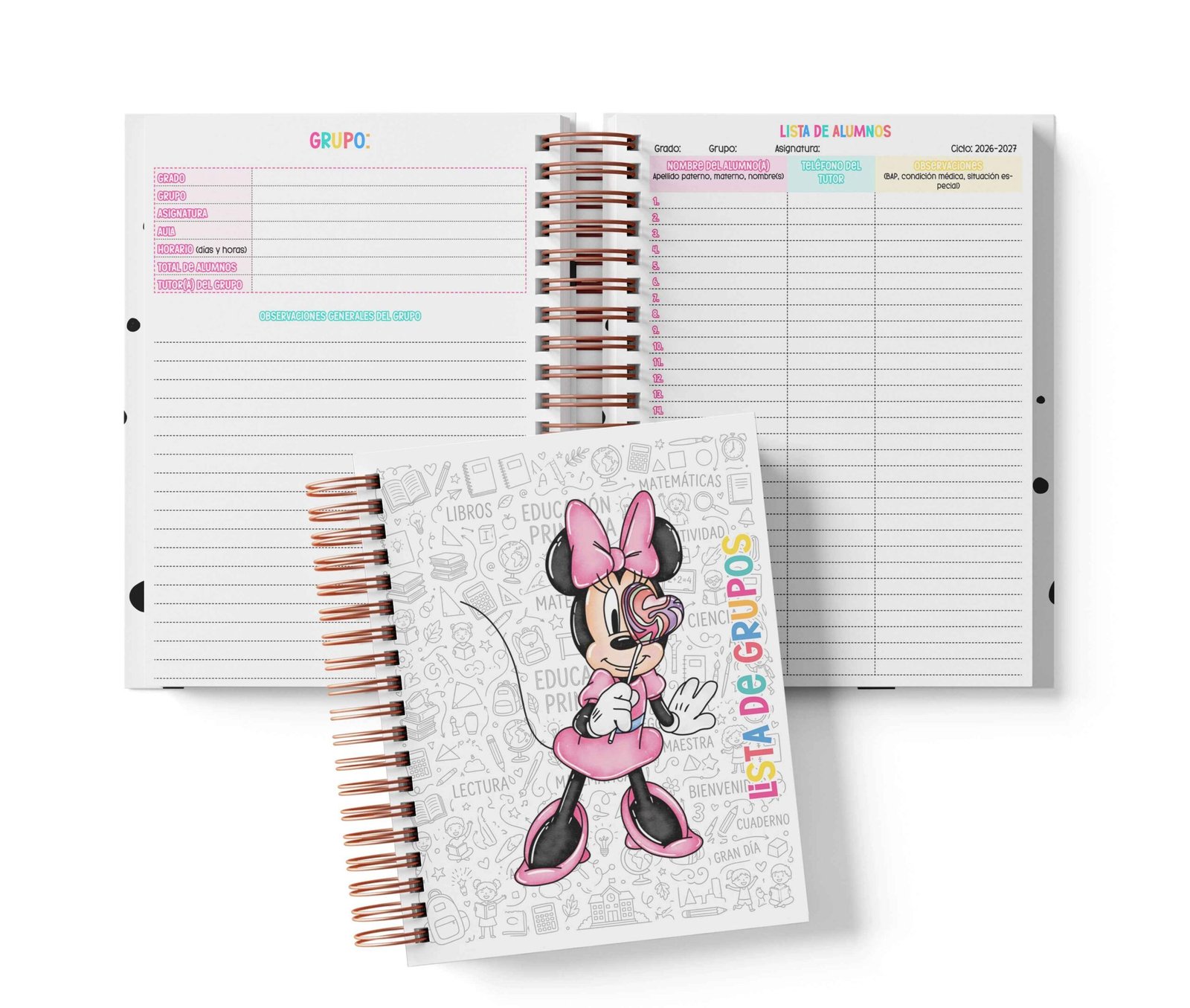 Seguimiento Docente Secundaria - Minnie Mouse