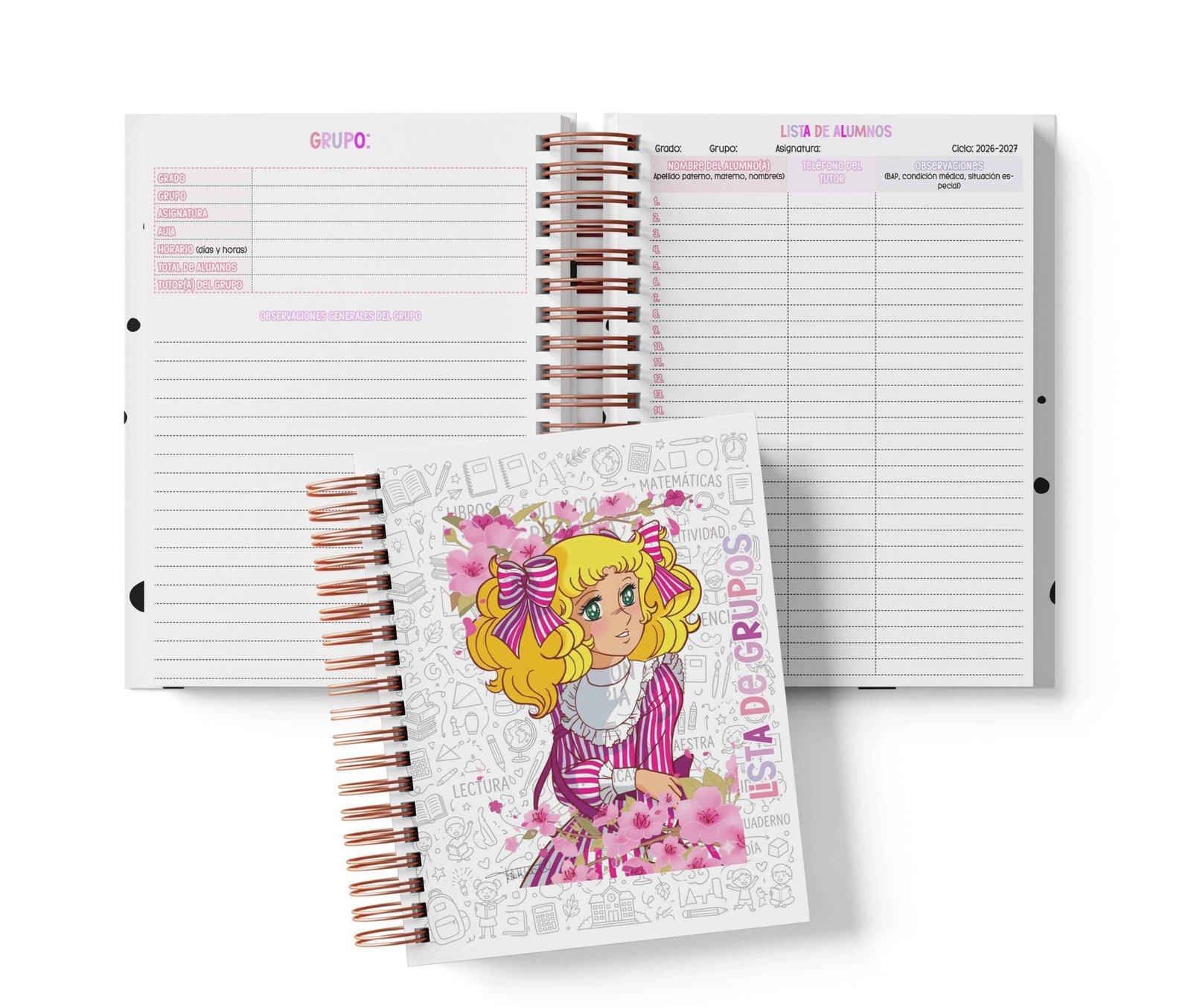 Seguimiento Docente Secundaria - Candy Candy