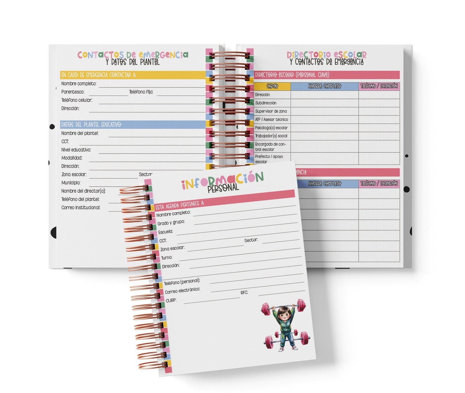Agenda Primaria Medio Oficio - K-Drama