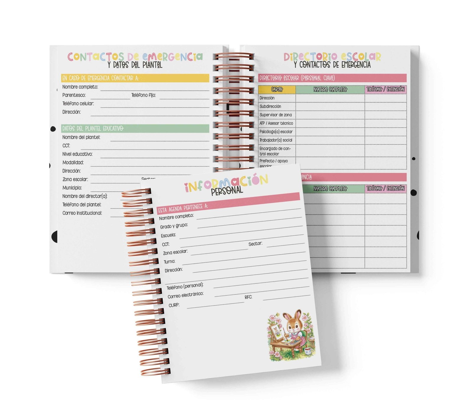 Agenda Preescolar MO - Ternurines