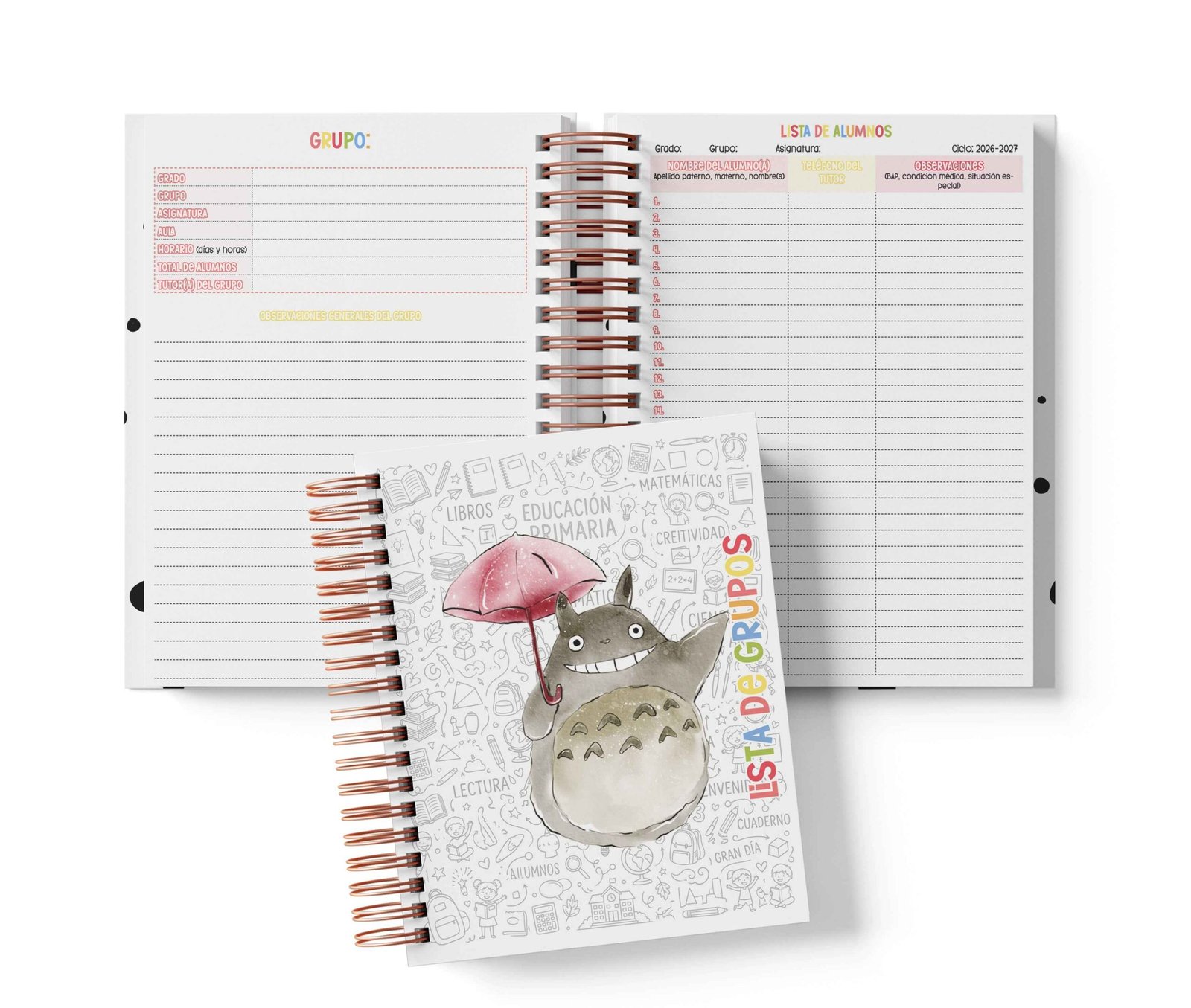 Seguimiento Docente Secundaria - Totoro