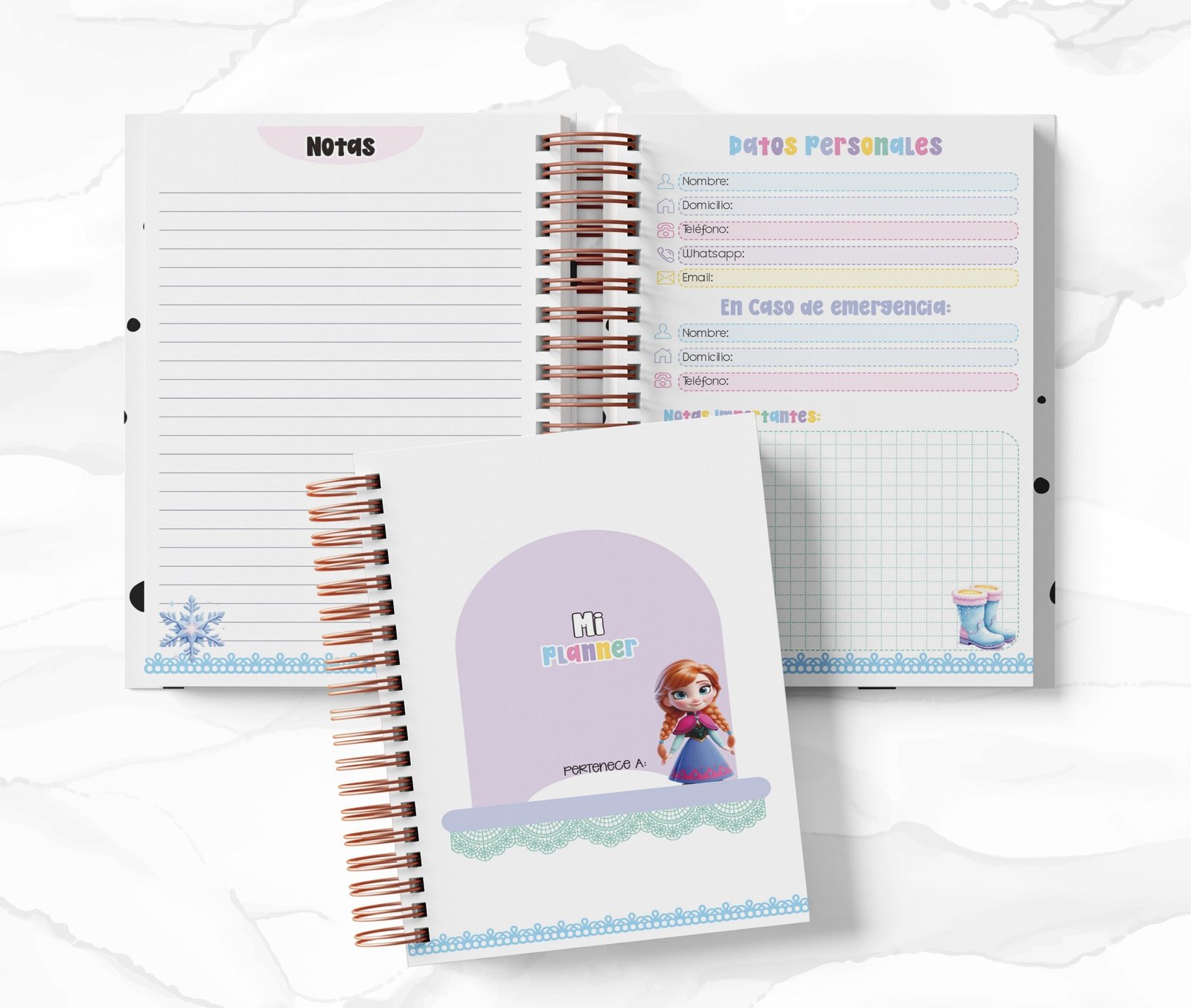 Planner Diario con Horario cada 30 Min - Frozen