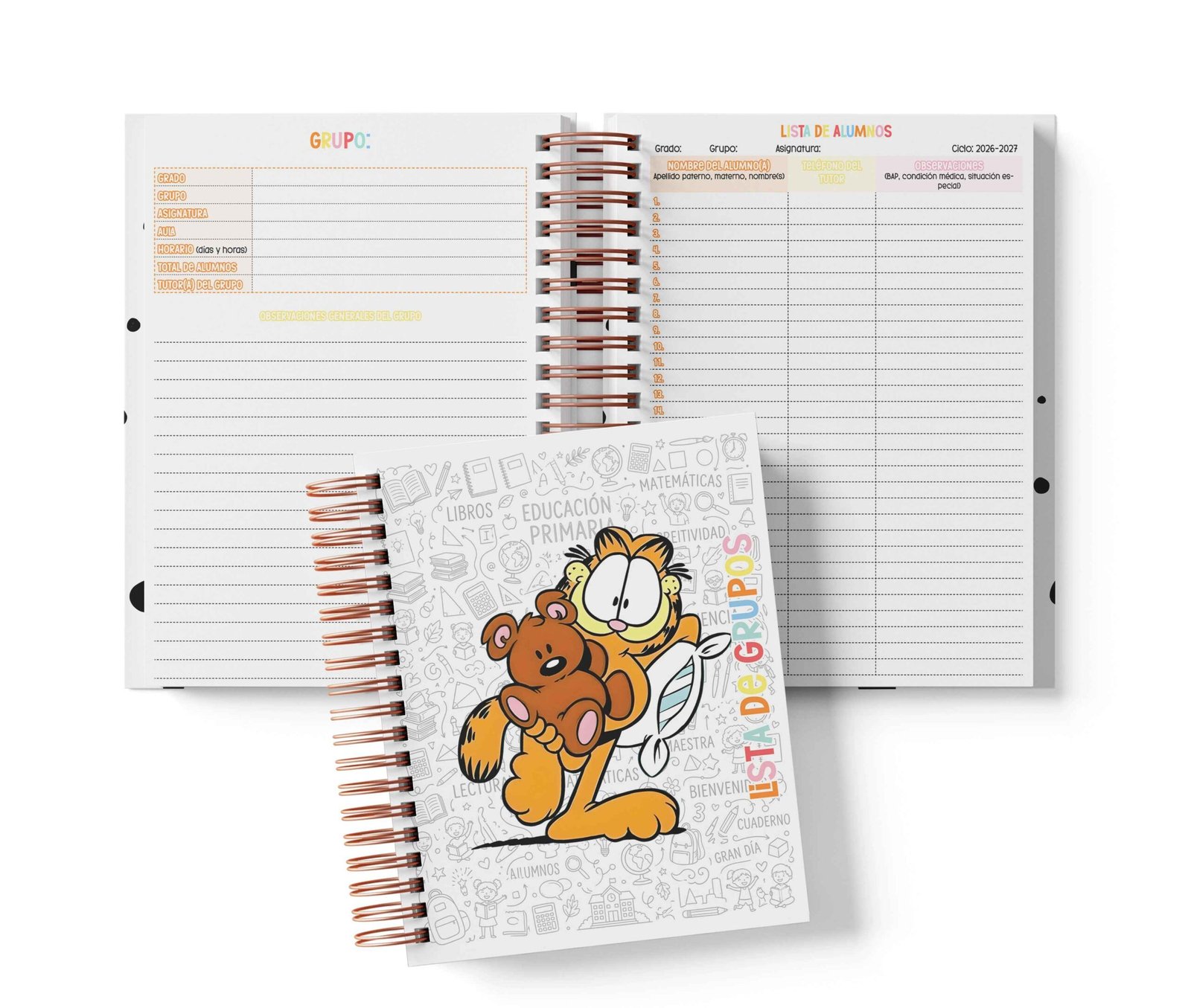 Seguimiento Docente Secundaria - Garfield