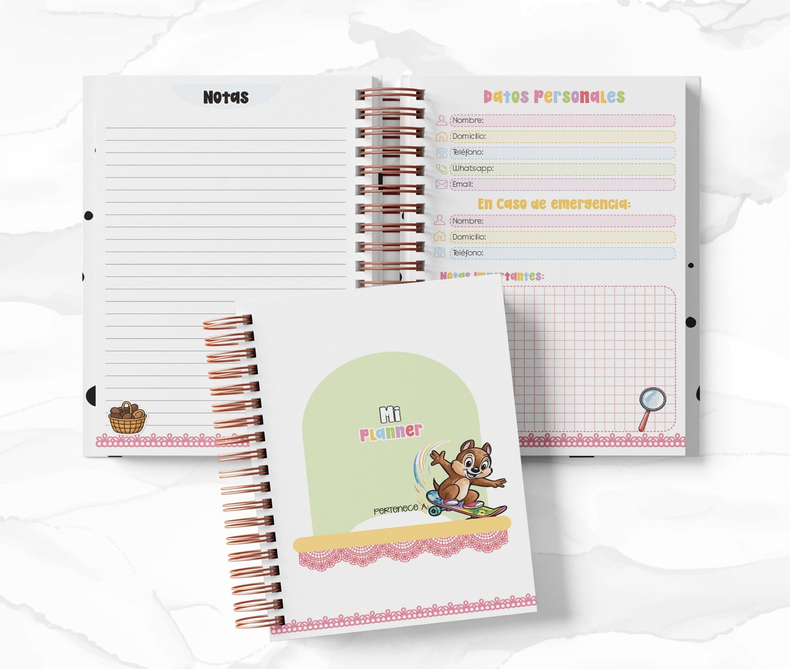 Planner Diario con Horario cada 30 Min - Chip y Dale
