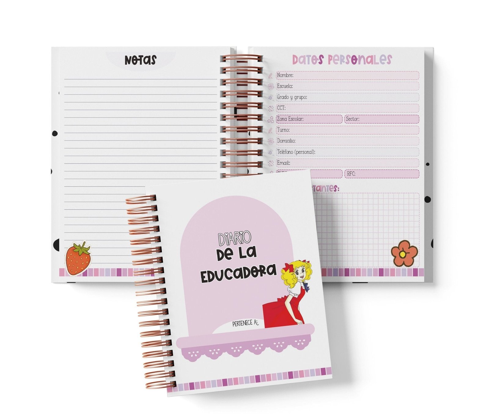 Diario de la Educadora - Candy Candy