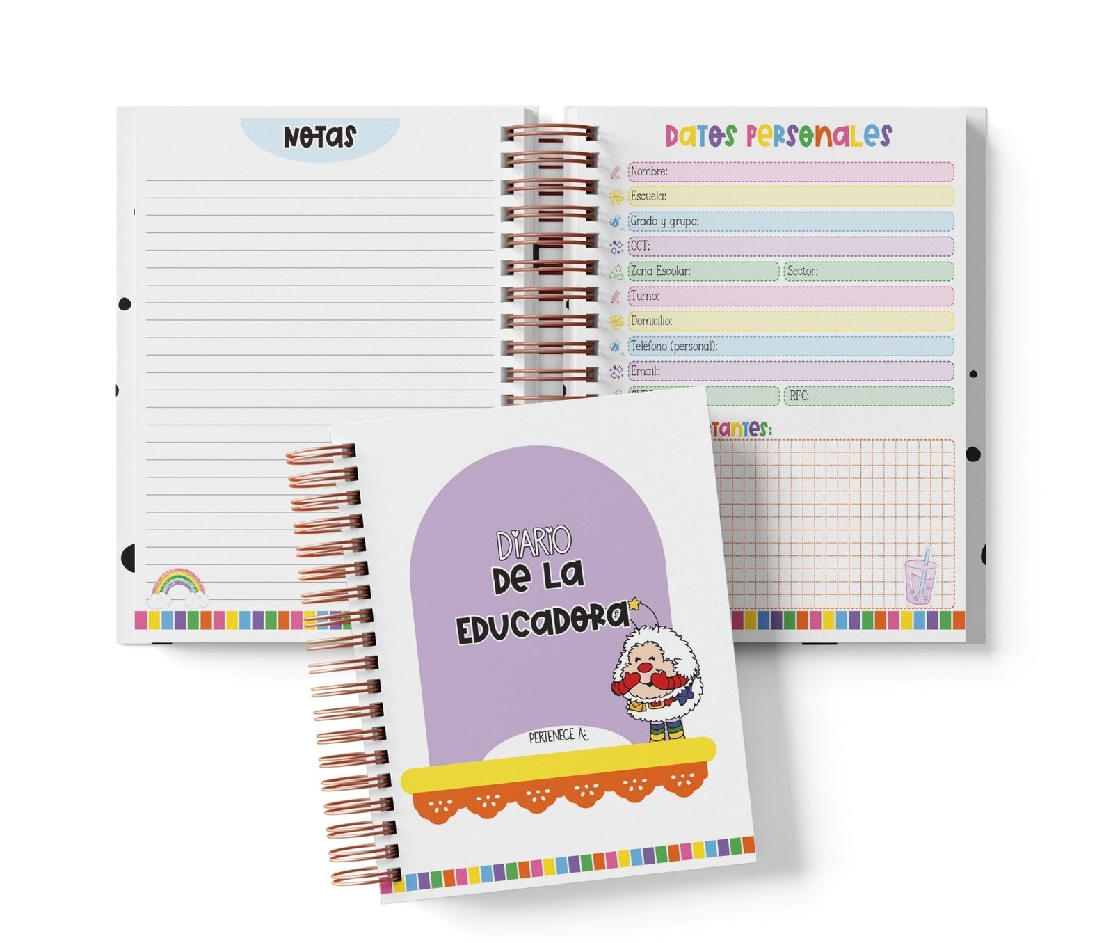 Diario de la Educadora - Rainbow Brite