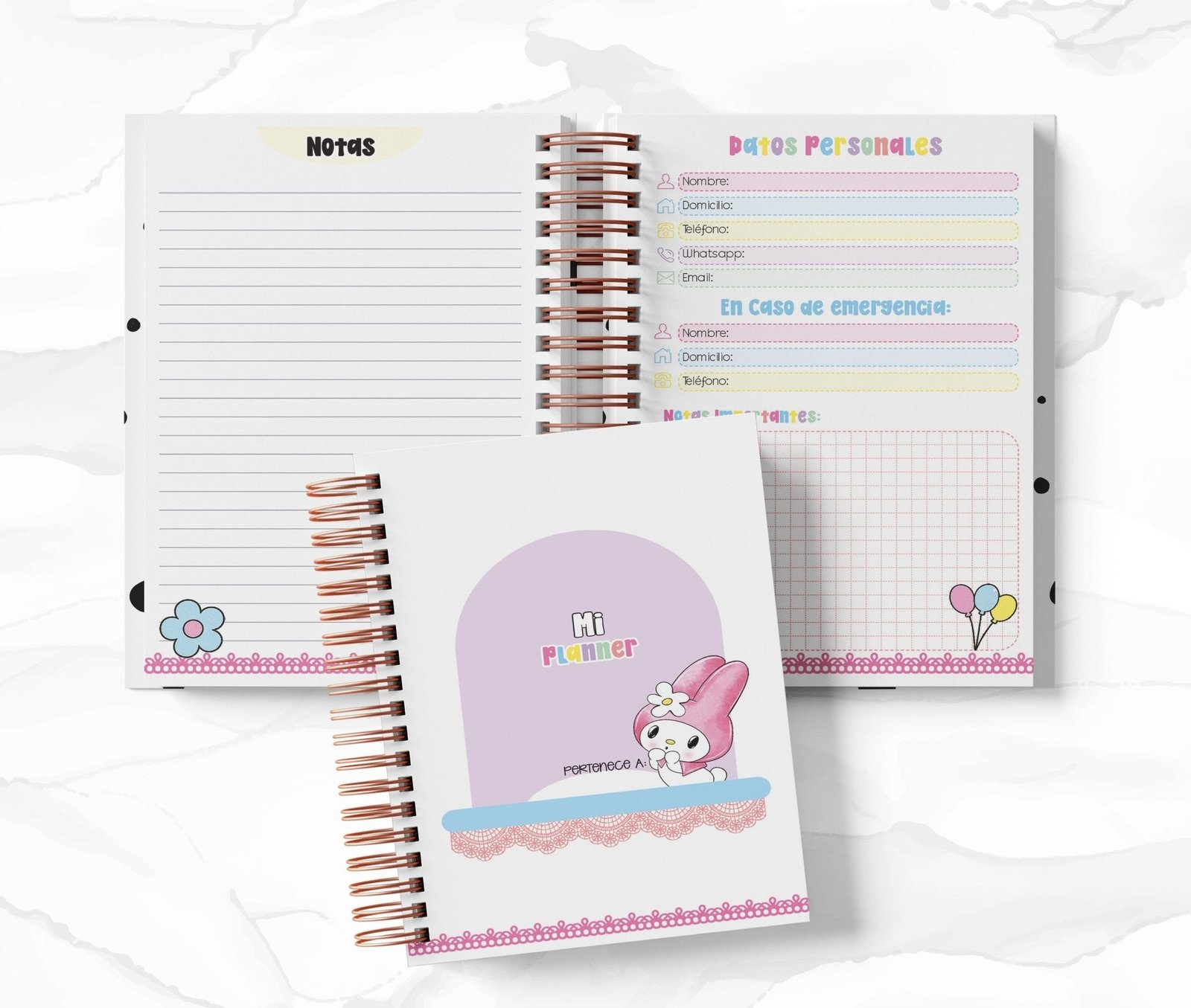 Planner Diario con Horario cada 30 Min - My Melody