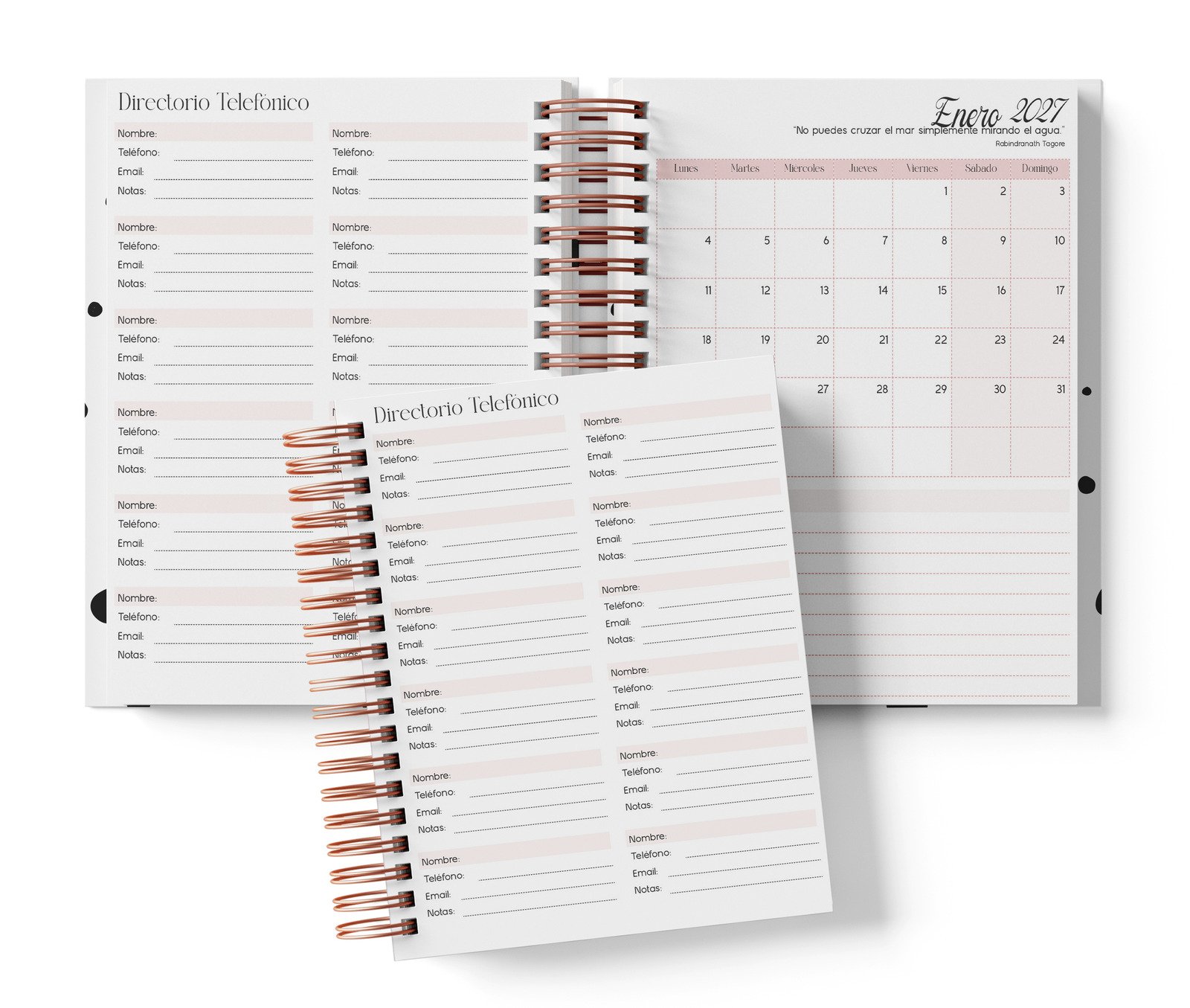 Mockup original BIRD2027: Diaria con hora, color rosa; directorio y calendario mensual de enero2027; no demuestra la línea horaria corregida.