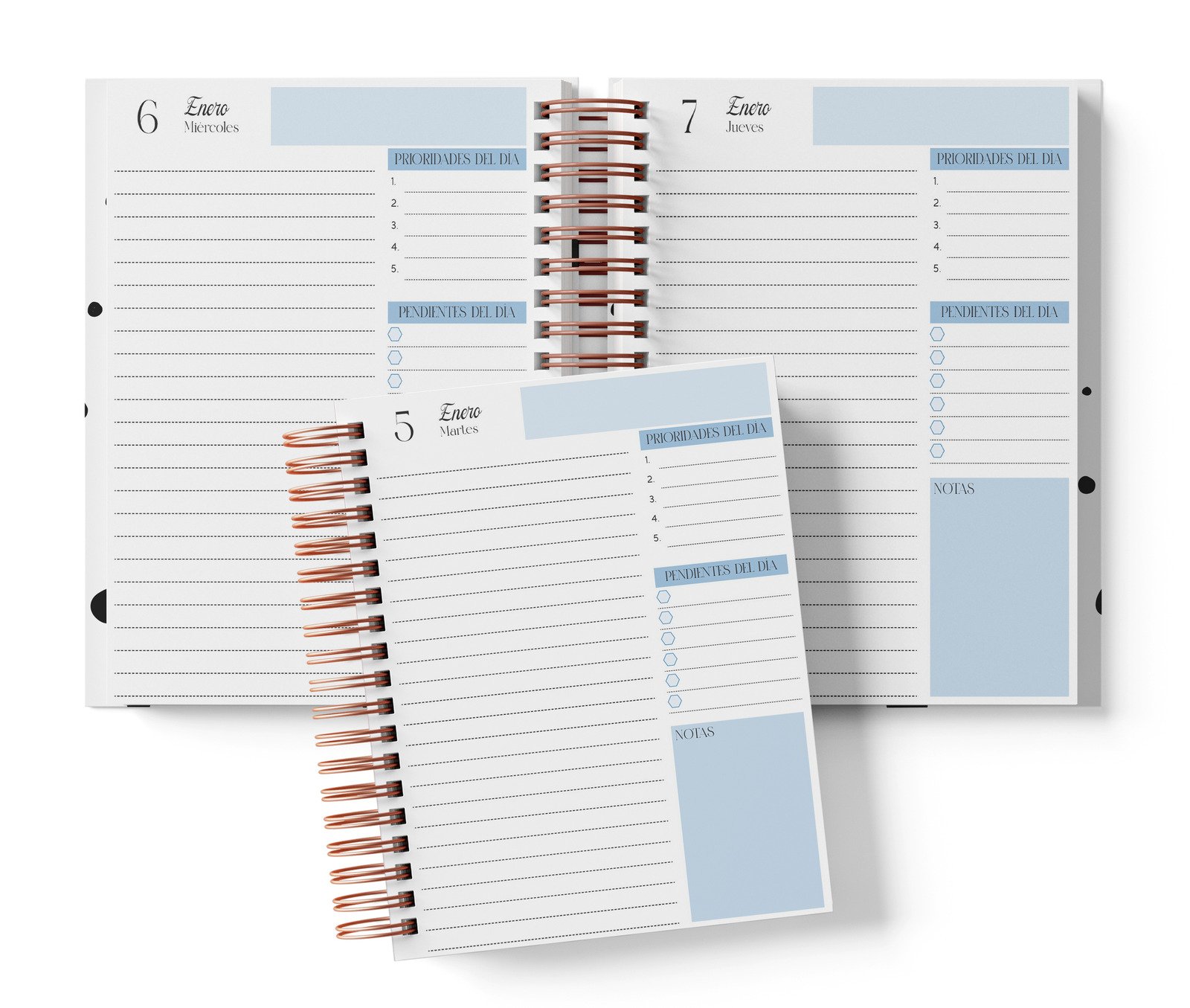 Mockup original BIRD2027: Diaria, color azul; vista diaria.