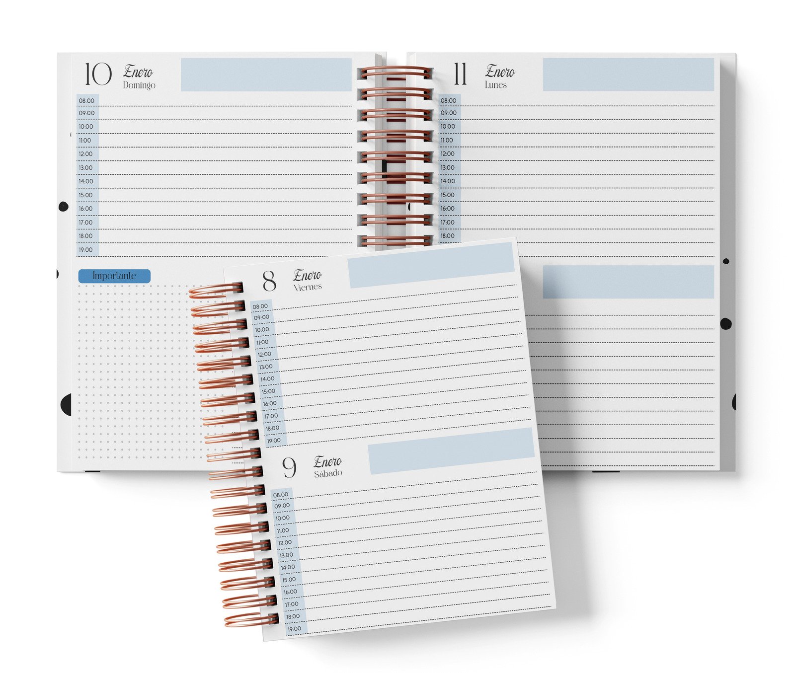 Mockup original BIRD2027: Dos días por página con hora, color azul; vista de dos días por página con horario.
