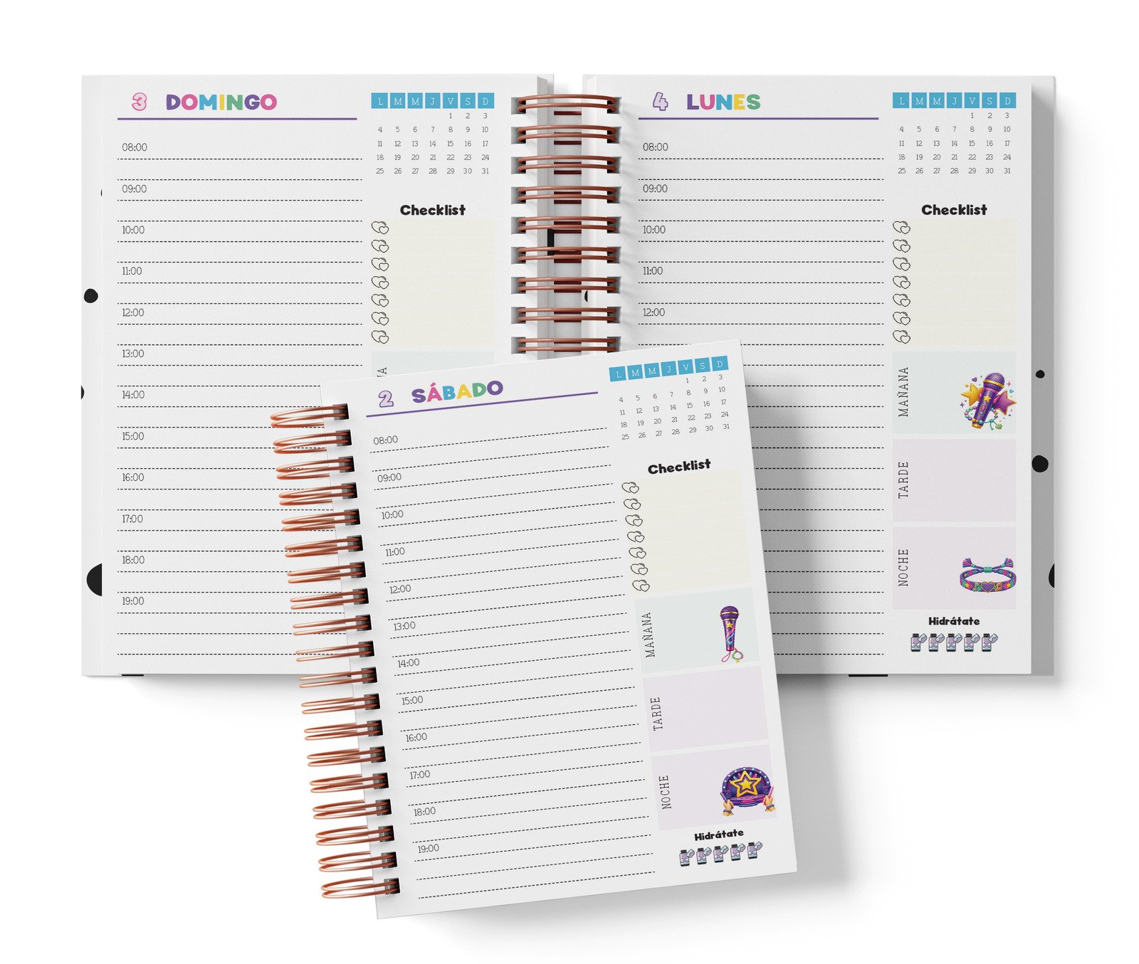 Diaria BTS con horario de 08:00 a 19:00, Checklist y bloques de mañana, tarde y noche.