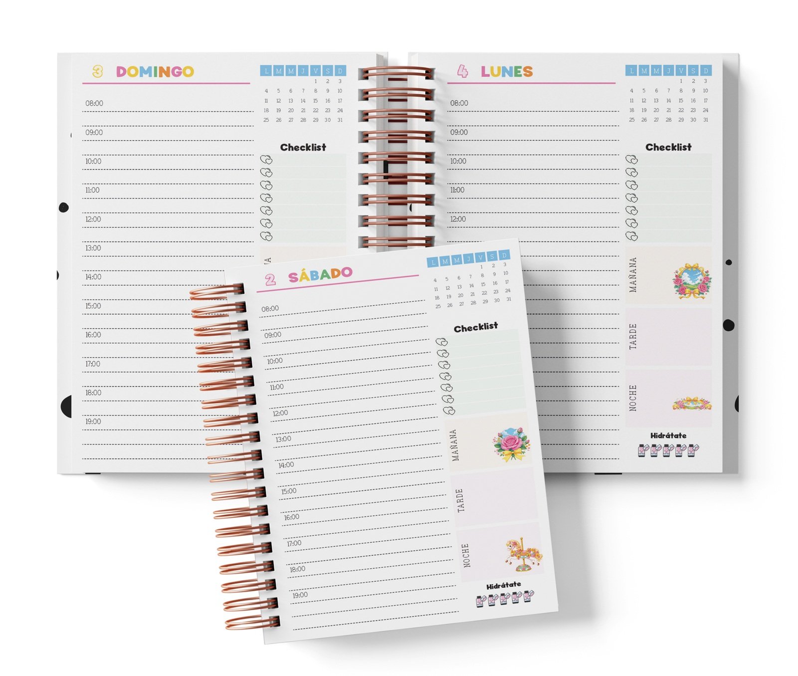 Diaria Candy con horario de 08:00 a 19:00, Checklist y bloques de mañana, tarde y noche.