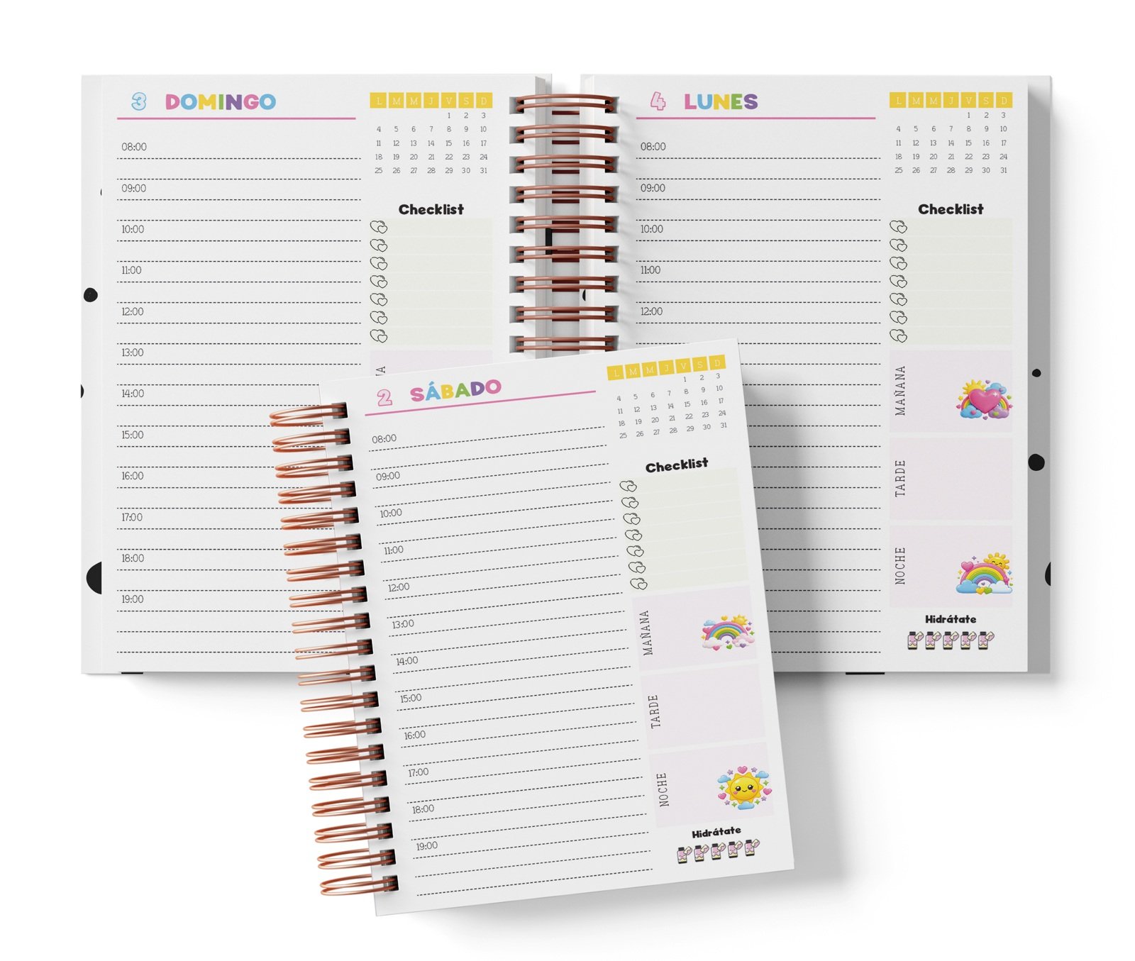 Diaria Cariñositos con horario de 08:00 a 19:00, Checklist y bloques de mañana, tarde y noche.