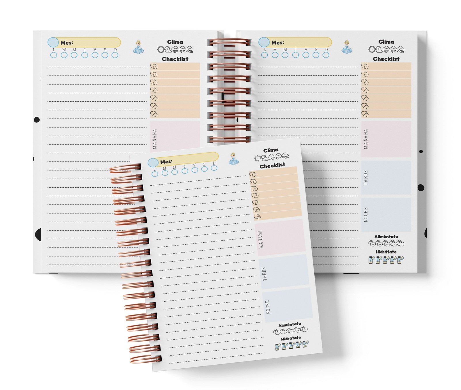 Planner diario Cenicienta con Mes y selector de día por completar, clima, Checklist, alimentación e hidratación.