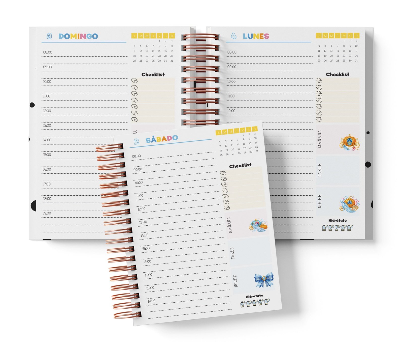 Diaria Cenicienta con horario de 08:00 a 19:00, Checklist y bloques de mañana, tarde y noche.