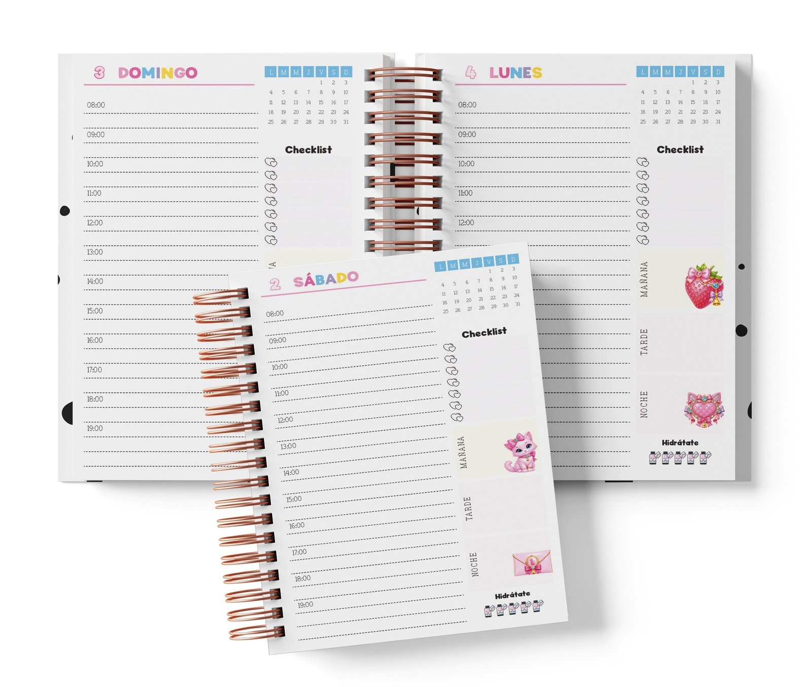 Diaria Charmmy Kitty con horario de 08:00 a 19:00, Checklist y bloques de mañana, tarde y noche.