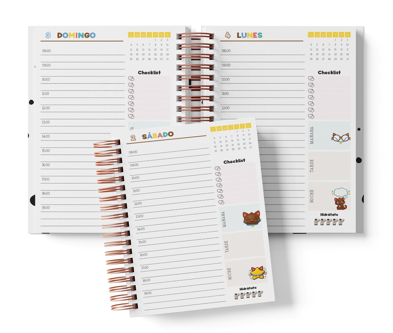 Diaria Chococat con horario de 08:00 a 19:00, Checklist y bloques de mañana, tarde y noche.