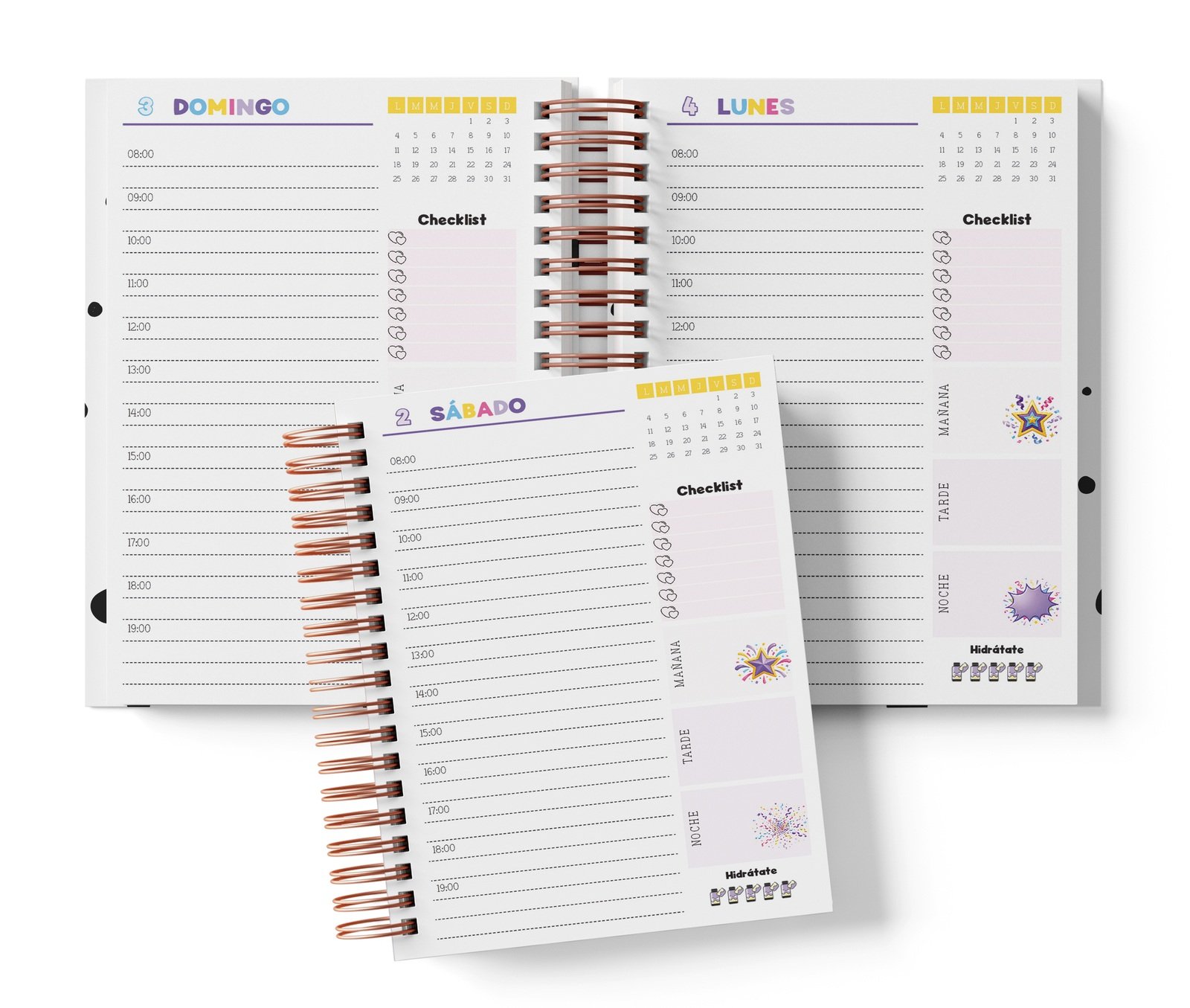 Diaria Disney 100 con horario de 08:00 a 19:00, Checklist y bloques de mañana, tarde y noche.
