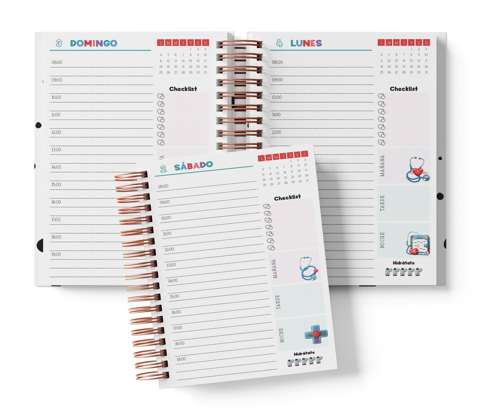 Diaria Greys con horario de 08:00 a 19:00, Checklist y bloques de mañana, tarde y noche.