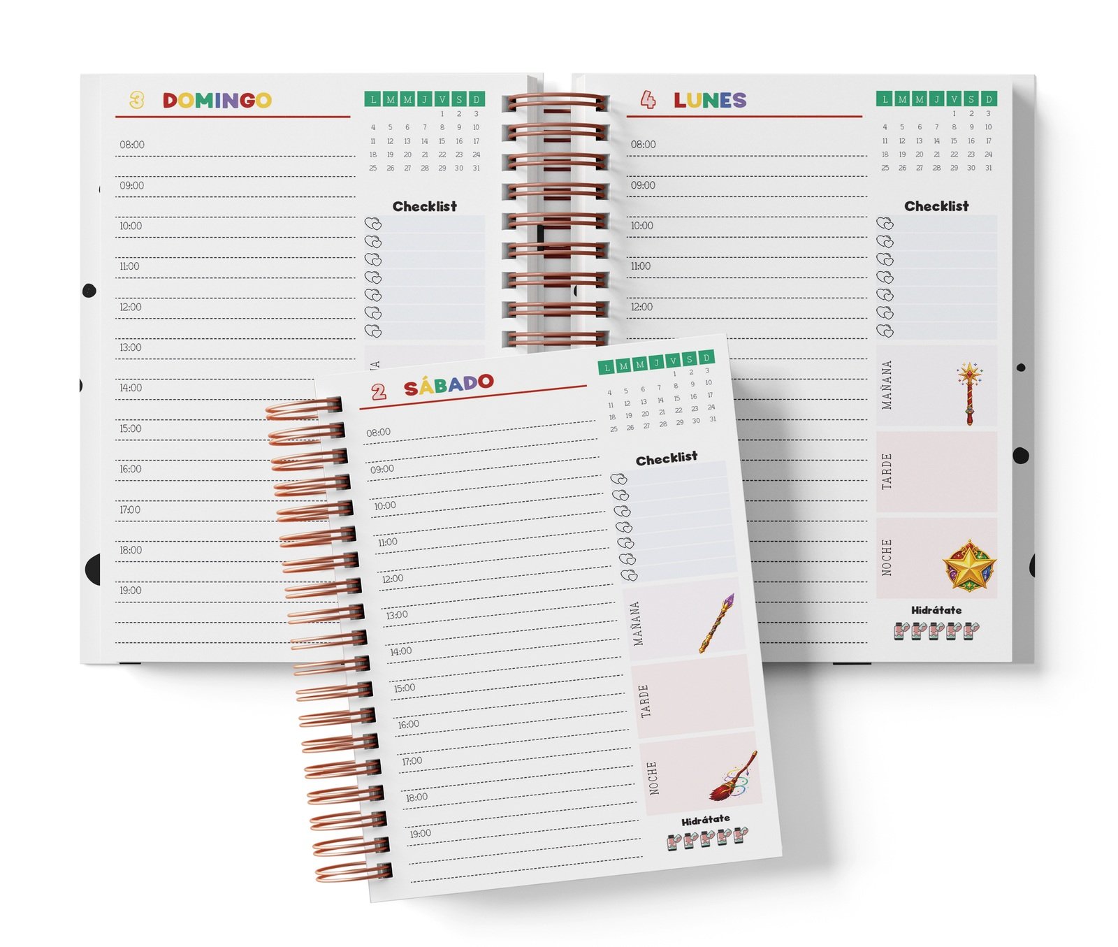 Diaria Harry Potter con horario de 08:00 a 19:00, Checklist y bloques de mañana, tarde y noche.