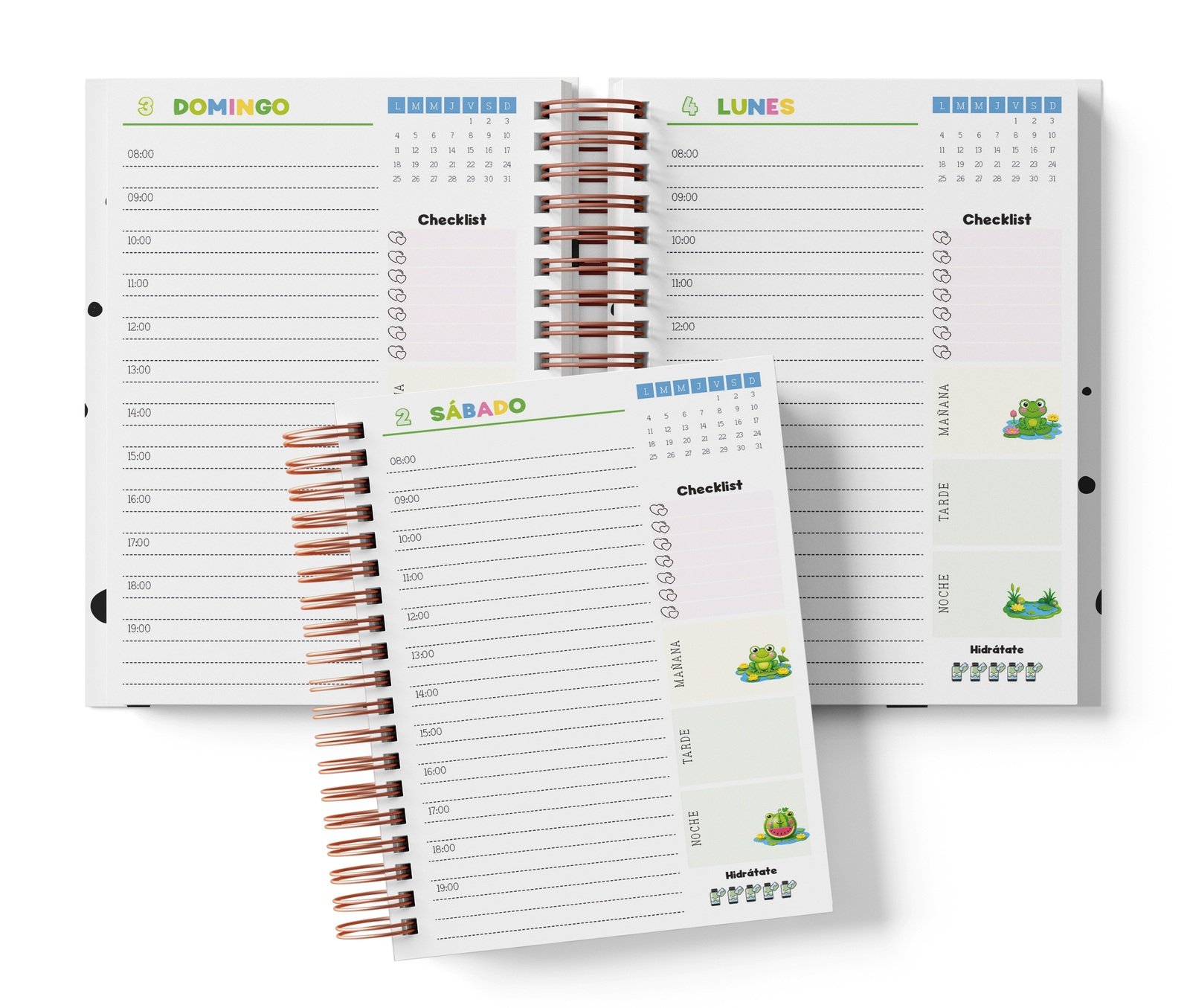 Diaria Keroppi con horario de 08:00 a 19:00, Checklist y bloques de mañana, tarde y noche.