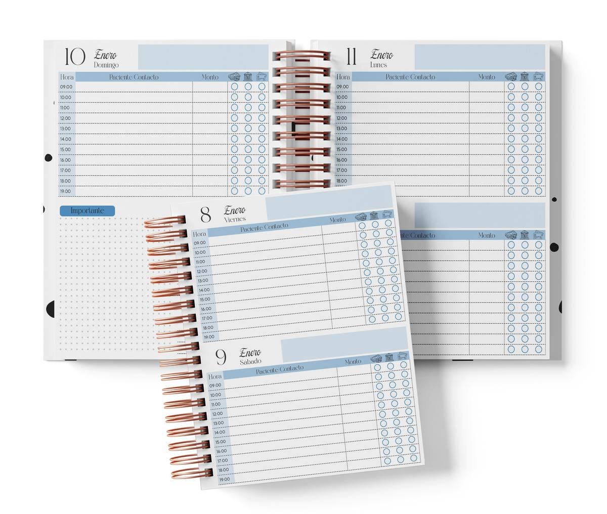 Dos días por página con horario, color azul, del Pack Cirujano plástico 2027. Mockup original del interior PDF de 258 páginas; muestra de impresión.